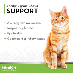 Tomlyn Immune Support Lysine chews serving close-up highlighting fish-flavored palatability.