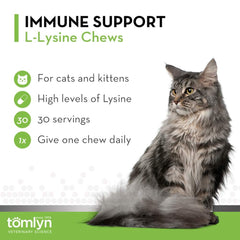 Tomlyn Immune Support Lysine chews travel-friendly packaging for on-the-go care.