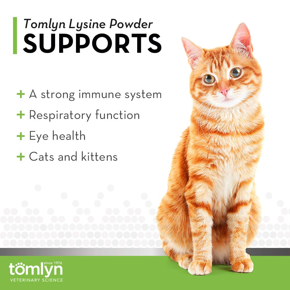 TOMLYN Lysine powder fish flavor cat serving shows easy daily dosing.