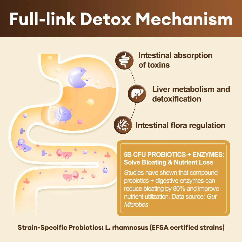 Acacia fiber and choline blend image supporting fiber intake and digestion.