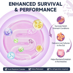 Totaria capsules illustrating supports muscle function and energy metabolism