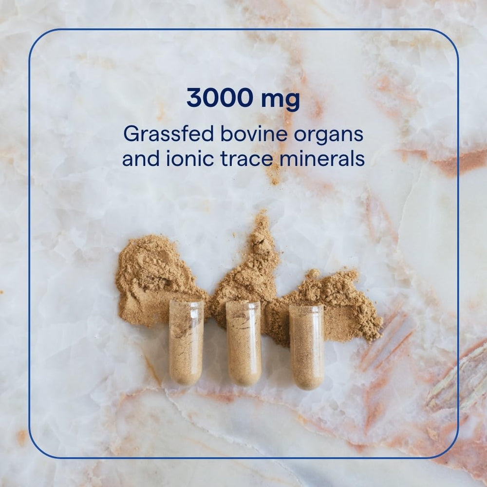 Trace Minerals Beef Organs liver capsule ready for daily nutrition.