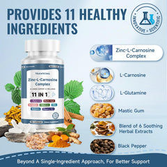 Trawecual 11-in-1 formula infographic highlights broad gut health support.