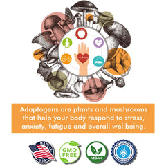 Tree of Life Botanicals Immunity packaging close-up emphasizes non-GMO formula.