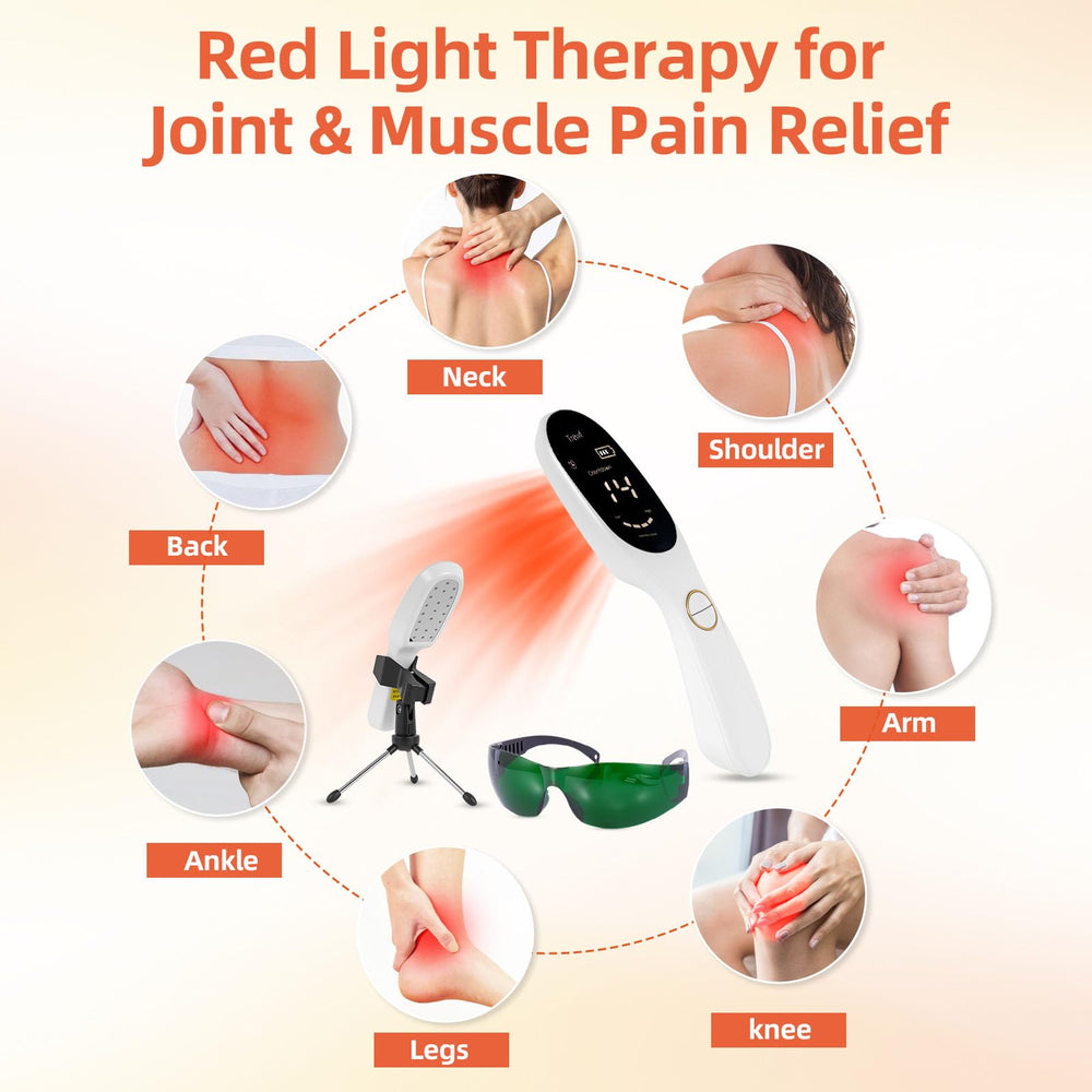Trewf pet-friendly red light therapy for dogs promotes comfortable daily movement.