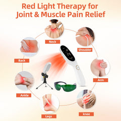 Trewf pet-friendly red light therapy for dogs promotes comfortable daily movement.