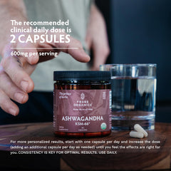 TRIBE ORGANICS Ashwagandha KSM66 capsules ready for daily use