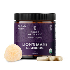TRIBE ORGANICS Lion’s Mane bottle showing 1000mg extract for focus.