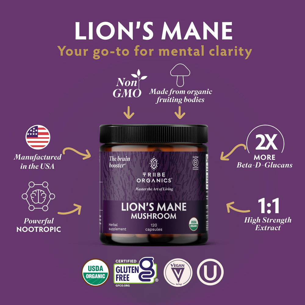 TRIBE ORGANICS Lion’s Mane powder close-up reveals earthy extract.