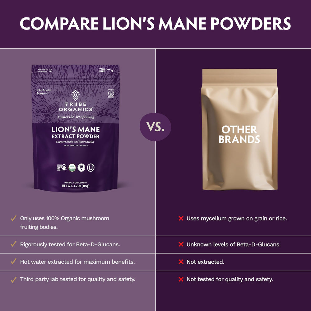 TRIBE ORGANICS Lion’s Mane powder in cup – convenient daily ritual