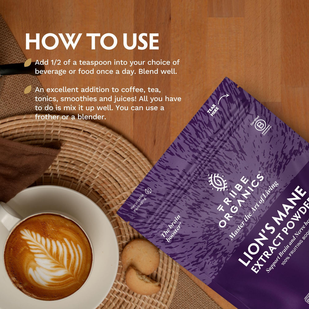 TRIBE ORGANICS Lion’s Mane powder texture closeup – high-quality beta-glucans