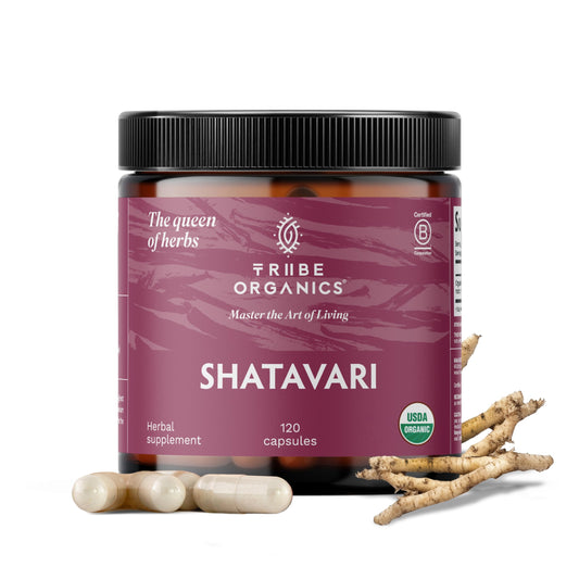 TRIBE ORGANICS Shatavari bottle closeup showing premium packaging and hormonal balance support