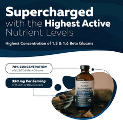 Lions Mane component highlighted in MycoMax for focus support.