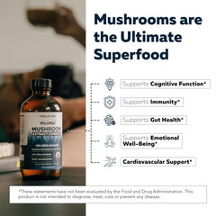 Ultrasonic extraction equipment visualizes enhanced nutrient density.