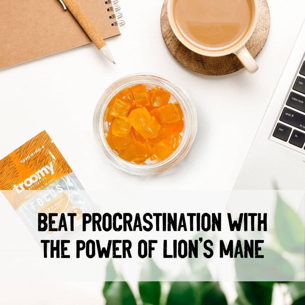 Troomy Lion's Mane Focus Gummies on surface demonstrate easy study snack.