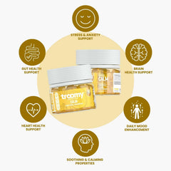 Troomy Reishi Calm Gummies organic mushroom blend emphasizes natural wellness