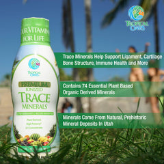 Tropical Oasis glass beside measuring spoon emphasizes daily-use convenience.