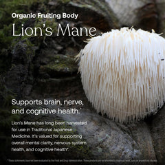 Morning routine scene featuring True Grace vitamins for daily support.