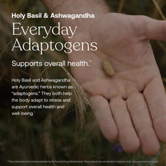Adaptogenic herbs in True Grace bottle showing ashwagandha and holy basil benefits.