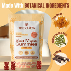 Two gummies served to illustrate daily serving size of TrueSeaMoss