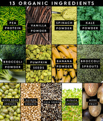Truvani Protein + Greens nutrition panel shows organic, non-GMO ingredients.