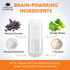 TWINLEAF NUTRITION dopamine brain-support tablets close-up highlighting capsules