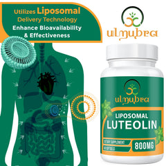 Front of Ulmubra bottle with label highlighting 800MG dosage.