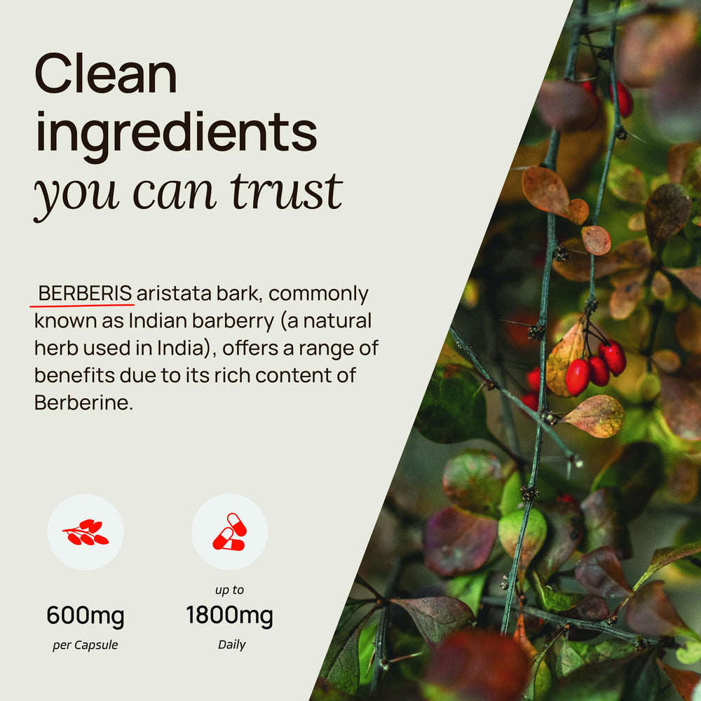 Ultra Berberine capsule close-up showing compact dosing size.