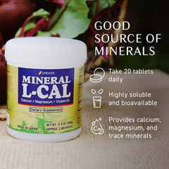 Umeken Mineral L-Cal D3 dissolving into hot tea for comfortable use