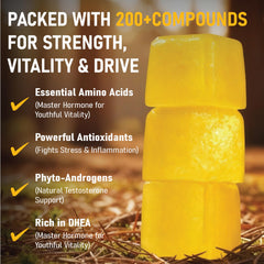 Unmute Primal Source Pine Pollen Gummies daily dose image for energy support