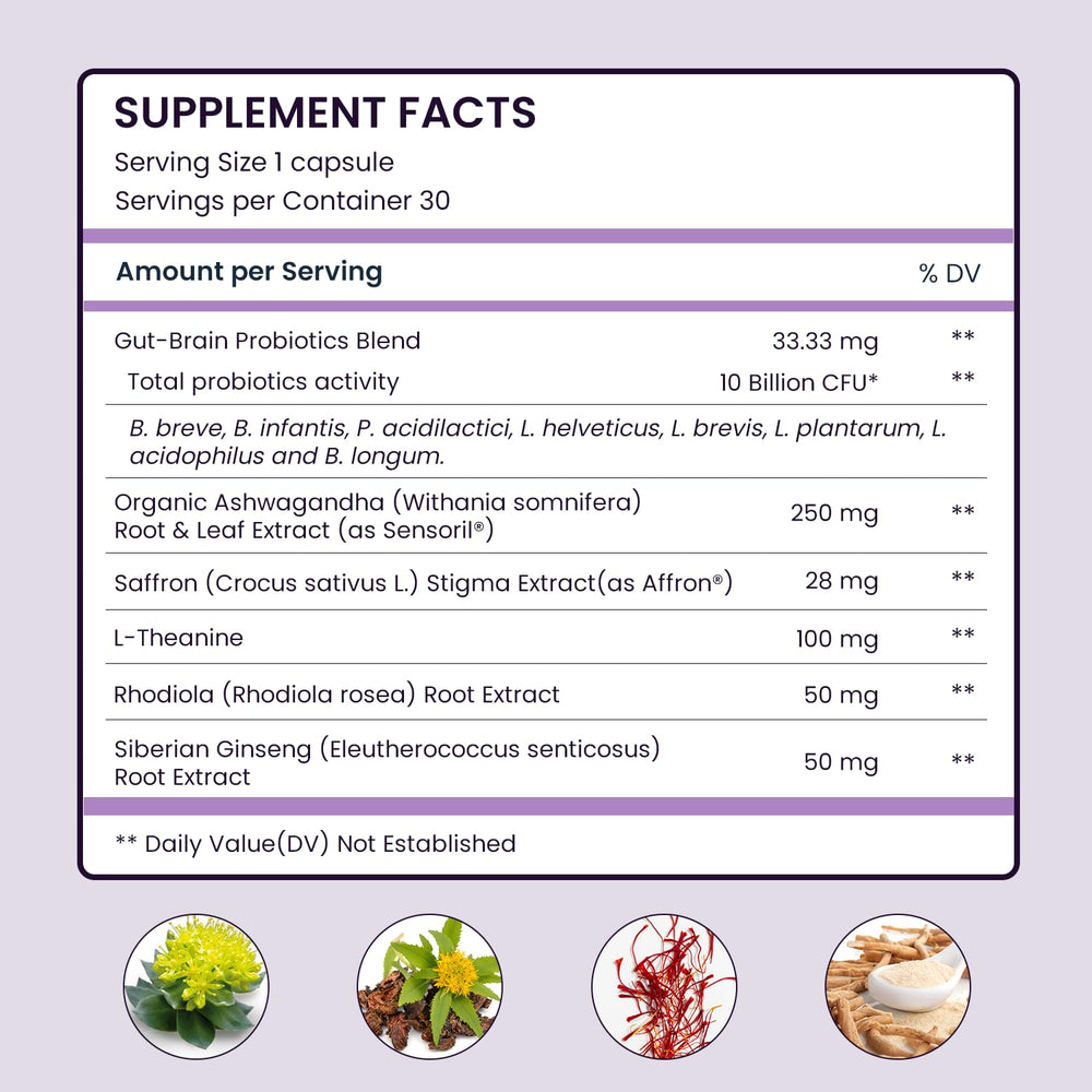 UpNourish Gut brain axis illustration highlighting microbiome and mood hormones.