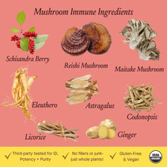 Urban Moonshine Mushroom Immune ingredients close-up with reishi and astragalus for daily support.