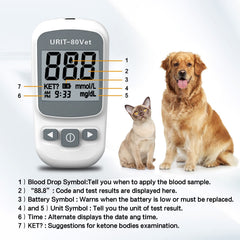 URIT-80Vet complete kit contents for convenient pet glucose testing