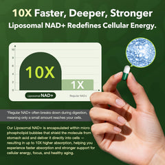 VCBIRD Nad Resveratrol ingredients panel outlines liposomal NAD+ blend.