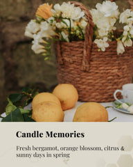 Veda Tinda Scent fragrance diffusion warms the room ambiance.