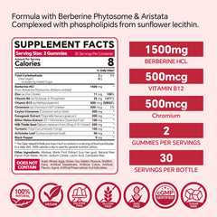 VEETAGYO Berberine sugar-free gummies close-up, tasty daily option.