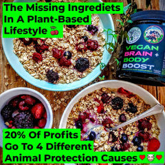 Vegan Brain Food label detail highlighting ingredients in a vegan formula