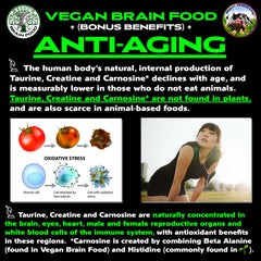 Vegan Brain Food scoop-dispense for consistent daily dosing