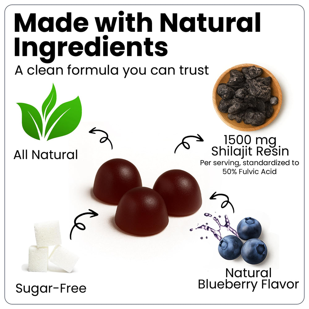 Veralinda Naturals Shilajit Gummies blueberry flavor ideal for daily enjoyment