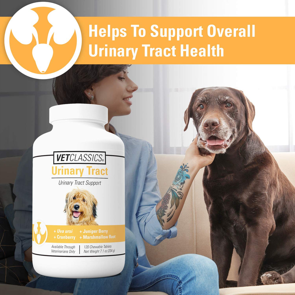 Vet Classics Resources natural botanicals and mushrooms ingredients highlight holistic dog wellness.