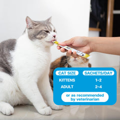 VFCARE lysine for cats daily-use scene illustrating simple routine.