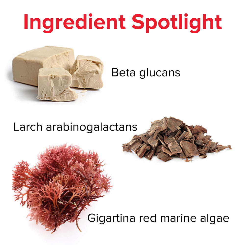 Vibrant Health arabinogalactans plant-based fiber supports digestion and immunity.