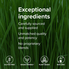 Travel friendly Green Vibrance packaging beside a smoothie bottle.
