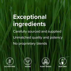 Vibrant Health Maximum Vibrance plant protein 20g supports energy and satiation.