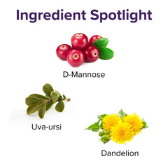 Vibrant Health U.T. Vibrance label close-up emphasizing ingredient sourcing and potency.