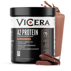 VICERA A2 Protein Powder chocolate milk bottle shows creamy flavor and protein boost.