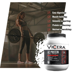 ViCera A2 overnight oats ideas with powder mix