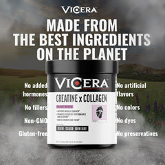 Travel-focused Vicera bottle with capsule option shown for on-the-go usage.