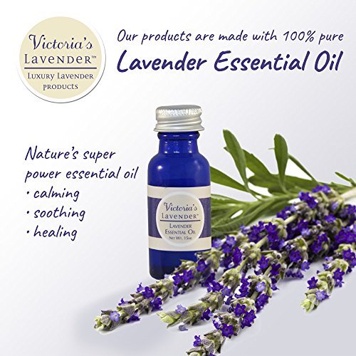 Victoria's Lavender lavender bloom closeup evokes natural calm and aromatherapy vibes.