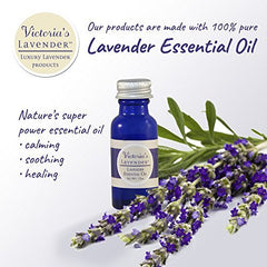 Victoria's Lavender lavender bloom closeup evokes natural calm and aromatherapy vibes.